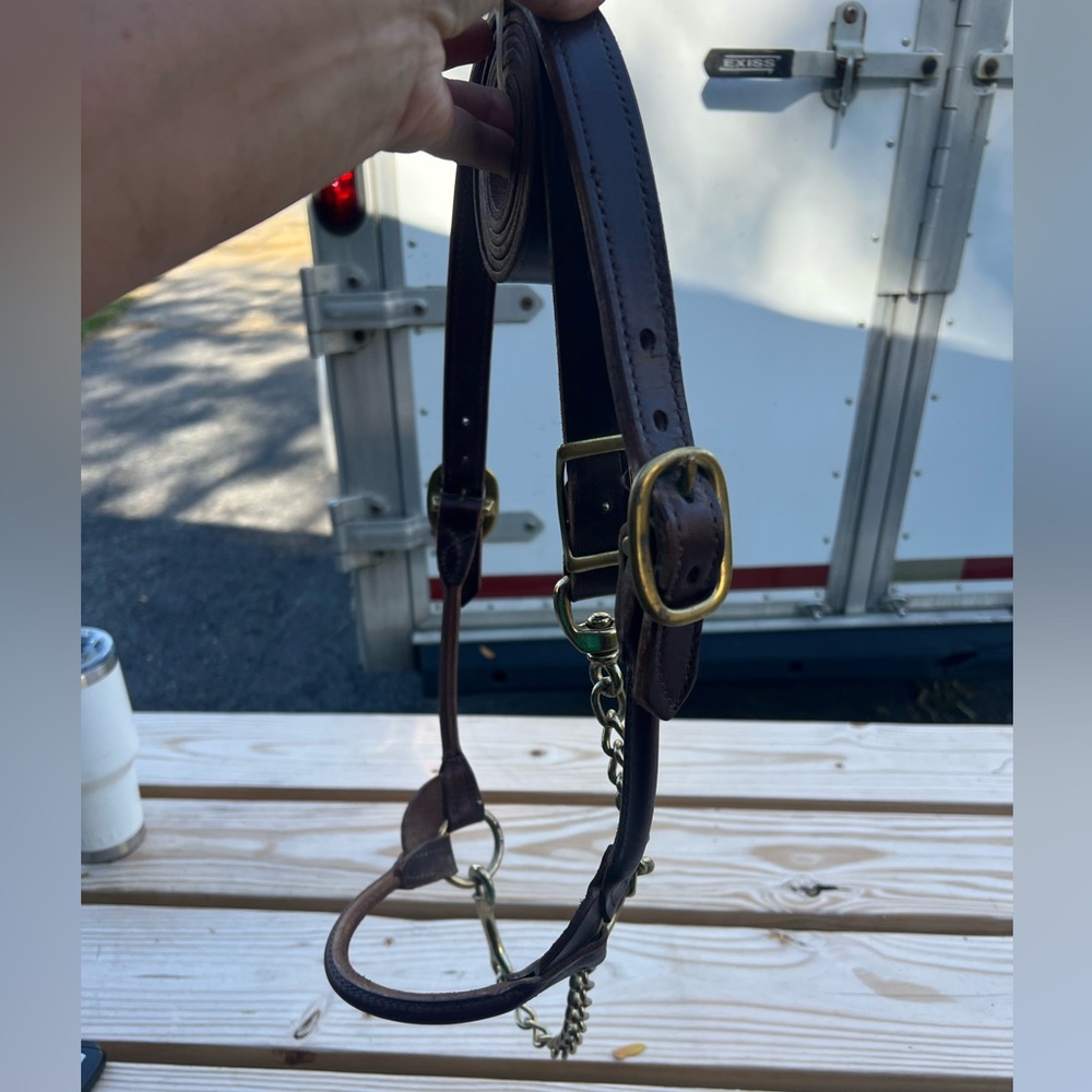 Steer/cow/calf Leather show halter and lead shank, brown new